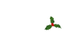 HY Cosmetics